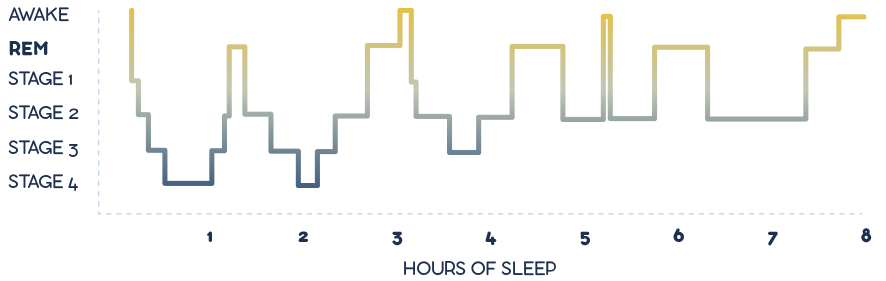 graph depicting what good sleep looks like